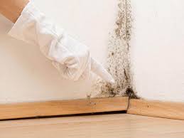 Best Mold Odor Removal Services  in Deer Park, TX